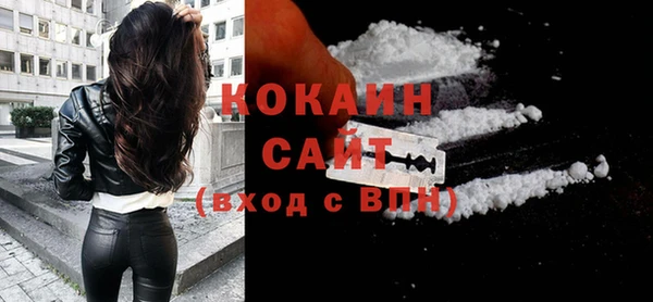 крисы Новозыбков