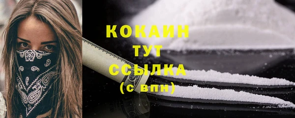 крисы Новозыбков