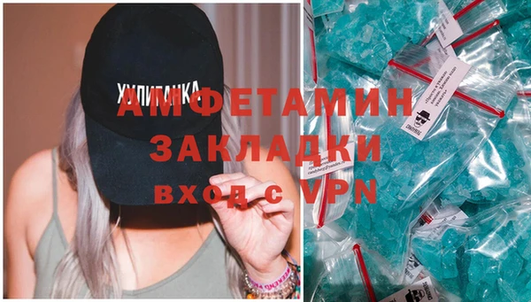 крисы Новозыбков