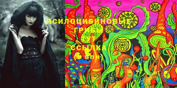 марки lsd Белокуриха