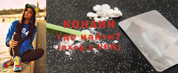 крисы Новозыбков
