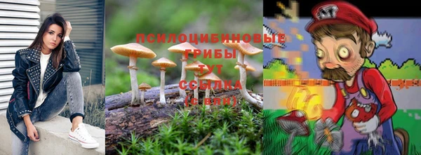 марки lsd Белокуриха