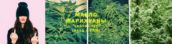 крисы Новозыбков