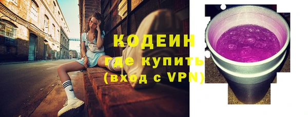 крисы Новозыбков