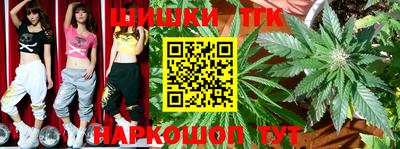 шишки Кинель