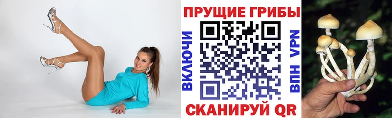 Галлюциногенные грибы прущие грибы  Североуральск 