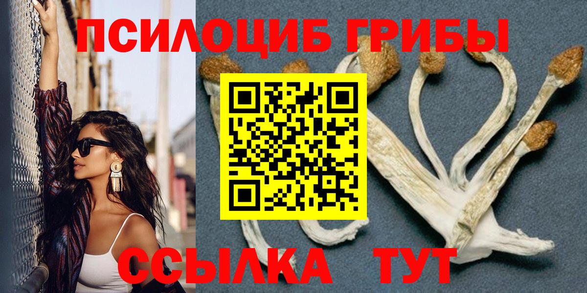 Североуральск  дарнет шоп  Вход с VPN  Псилоцибиновые грибы Cubensis 