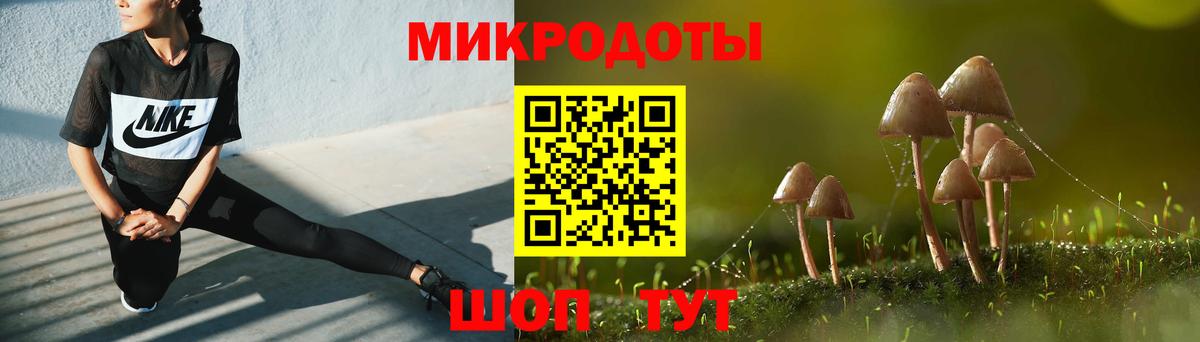 Псилоцибиновые грибы Cubensis Североуральск